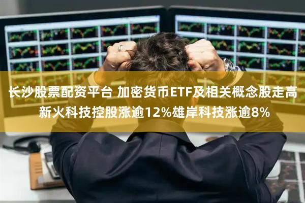 长沙股票配资平台 加密货币ETF及相关概念股走高 新火科技控股涨逾12%雄岸科技涨逾8%