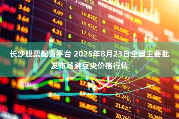 长沙股票配资平台 2025年8月23日全国主要批发市场豌豆尖价格行情