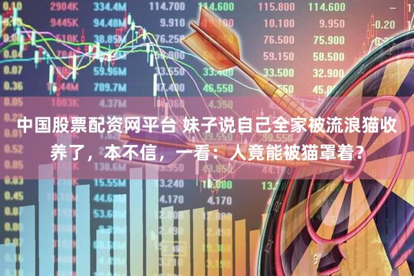 中国股票配资网平台 妹子说自己全家被流浪猫收养了，本不信，一看：人竟能被猫罩着？