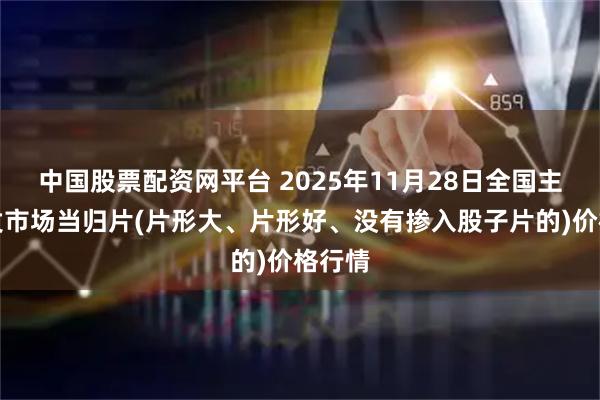中国股票配资网平台 2025年11月28日全国主要批发市场当归片(片形大、片形好、没有掺入股子片的)价格行情