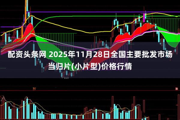 配资头条网 2025年11月28日全国主要批发市场当归片(小片型)价格行情